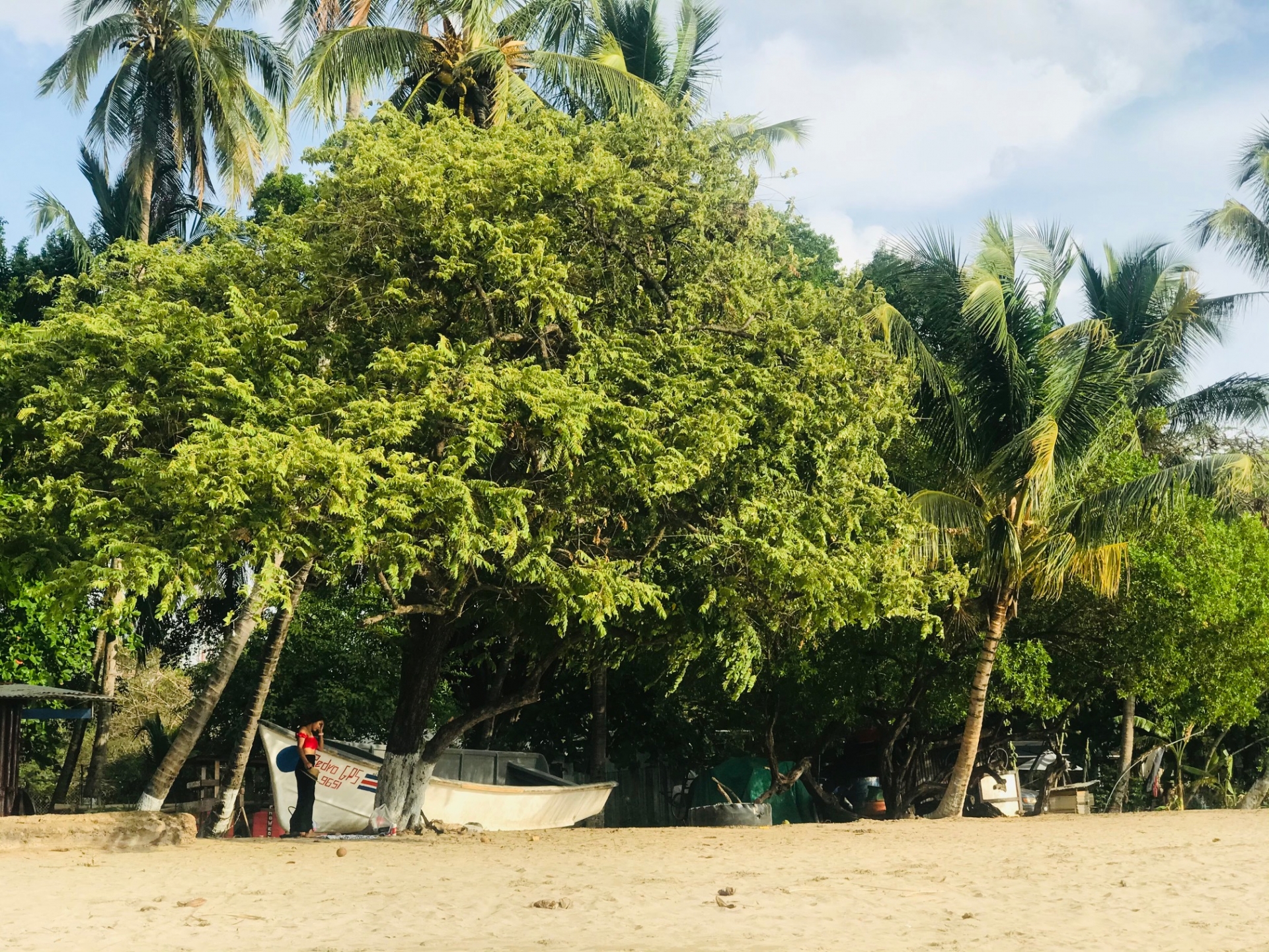 Bellezas de Costa Rica  (en coche de alquiler)