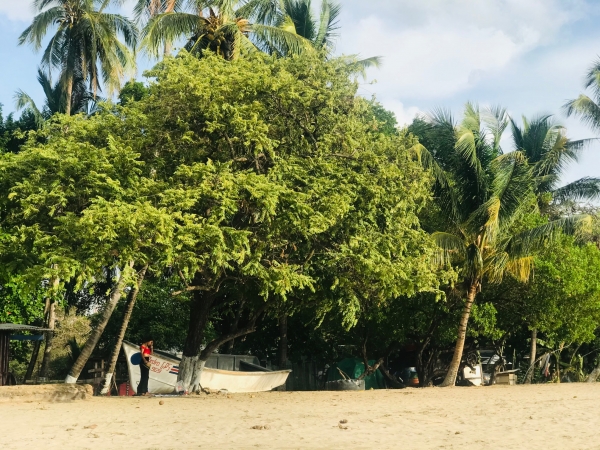 Bellezas de Costa Rica (en coche de alquiler)