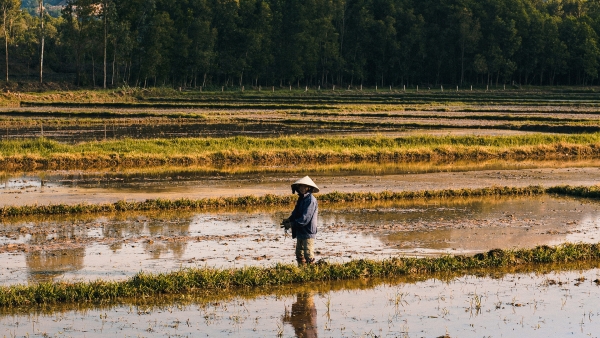 10 Lugares que hay que ver en Hoi An